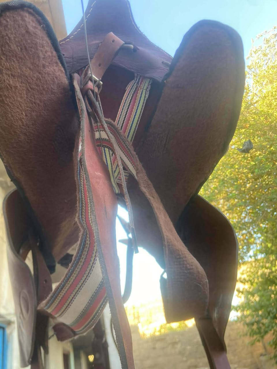 سلام عليكم 
عندي سرج للبيع ما صارلي جثير من خذتو مستخدم مره واحده سعر ١٠٠وبي مجال للطيبين


**إذا كنت صاحب هذا الإعلان وتريد حذفه لأي سبب، رجاءا أرسل رسالة إلى الدعم الفني**