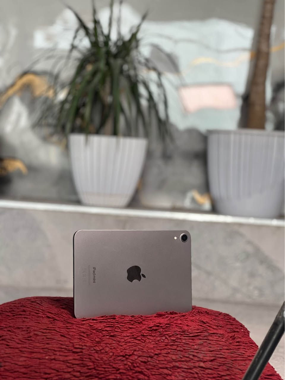 Ipad mini 7 
زاكيره ي ١٢٨ گيگايه 
پاتري ١٠٠
ريژه ي خاويني ١٠٠٪؜
ماوه ي كاركردن ١٠ روژ
تيبيني : ته نها شه حني خوي له گه له واته كارتوني له گه ل نييه 
سعري ٦٠٠ هه زار و مه جاليكي زور زور كه م أربيل, العراق


**إذا كنت صاحب هذا الإعلان وتريد حذفه لأي سبب، رجاءا أرسل رسالة إلى الدعم الفني**