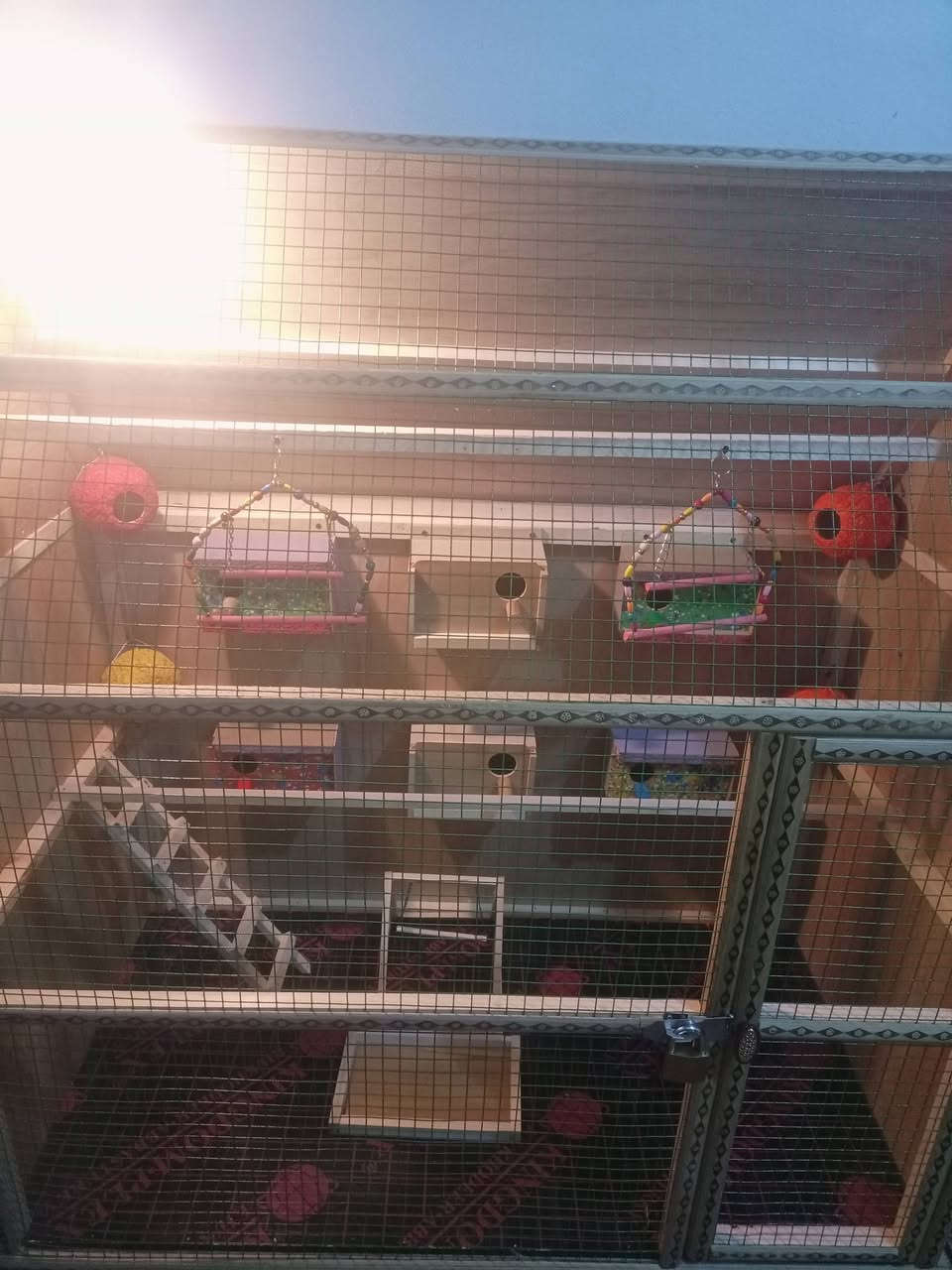 السلام عليكم متاح قفص حطاطة الطول 120الارتفاع 150والعرض 60فصال جديد جاهز من كلشي حتة الإنارة السعر 100المكان القائم والشراي يتفضل ***********
