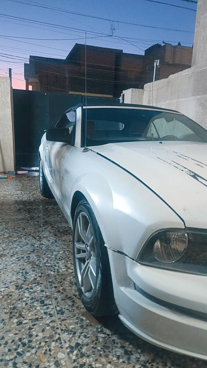 موستنك 2009 رقم اربيل بسمي، هزه جديده... محرك 4000 السياره كشف.... السياره نقصها الدبلات مال كشف او بيها نواقص بسيطه... مصبوغه حزام جماليه.... مكان السياره الحارثيه.... السعر 50 قفل بيع مستعجل..... ***********
