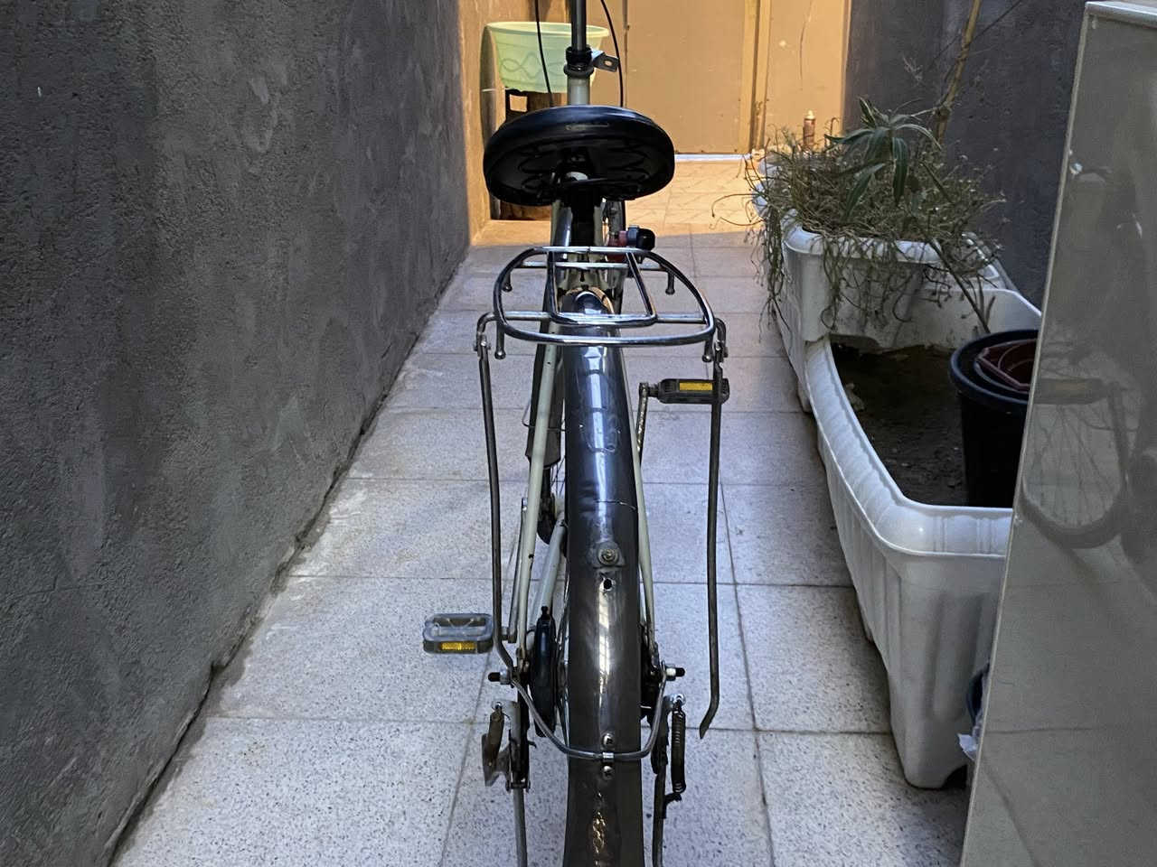 باسكل بطه للبيع حجم 27  سعر 75 مكان حله


**إذا كنت صاحب هذا الإعلان وتريد حذفه لأي سبب، رجاءا أرسل رسالة إلى الدعم الفني**