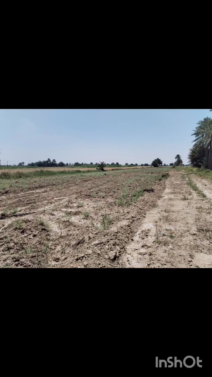 السلام عليكم اليوم عدنا عروض حلوه ومناسبة العرض الأول ٢ دونم واجهة ٣٨ متر على الارؤاىي الرئيسي مباشر كهرباء وماء سقى متوفرة ١٥٠ متر عن الشارع التبليط كربلاء الخيرات منطقة زبيد والعرض الثاني ٣دونم طابو زراعي سند 25 كربلاء طوريج الخيرات منطقة زبيد واجهة ٢٥ متر الماء السقي بوجها والكهرباء والتبليط ٢٠٠متر سعر الدونم الواحد ٢٧مع المجال للاستفسار الاتصال على الرقم *********** او ***********
