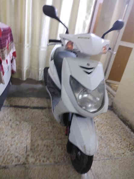 سلام عليكم سكنس فحل باياني البيع لسعر 950الف ماشيه47الف رقم الجوال *********** مكان بغداد
