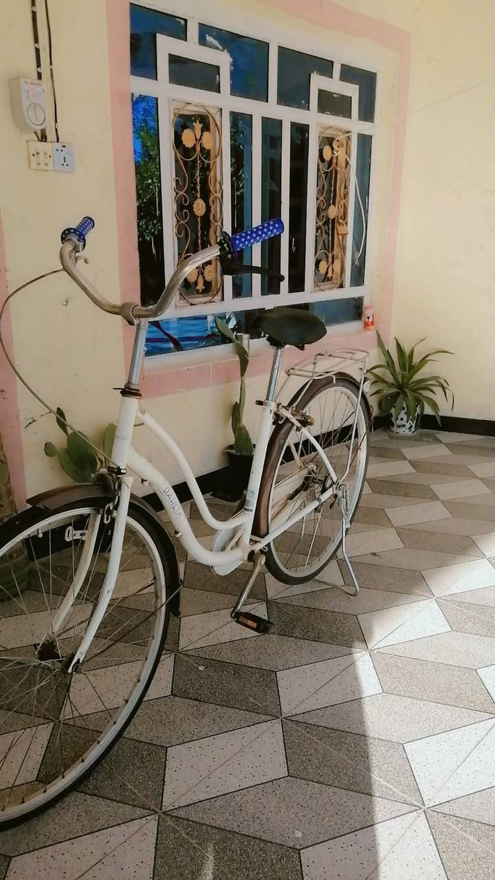 السلام عليكم بايسكل للبيع حجم 27 باسكل باله النظيف قطع الصبغ ما مصبوغ موديل 2010 المكان المكان حله ورديه خارج منطقه بنافع سعر اللي يريده يخابرني على الرقم***********
