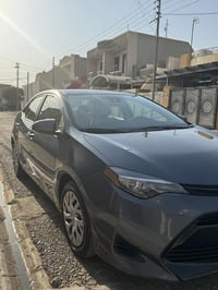 ٢٠١٩ • وارد كندي • رقم سليمانيه