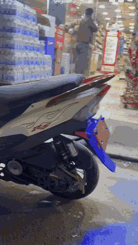 للبيع ام مراوس ب مال لعب ***********
