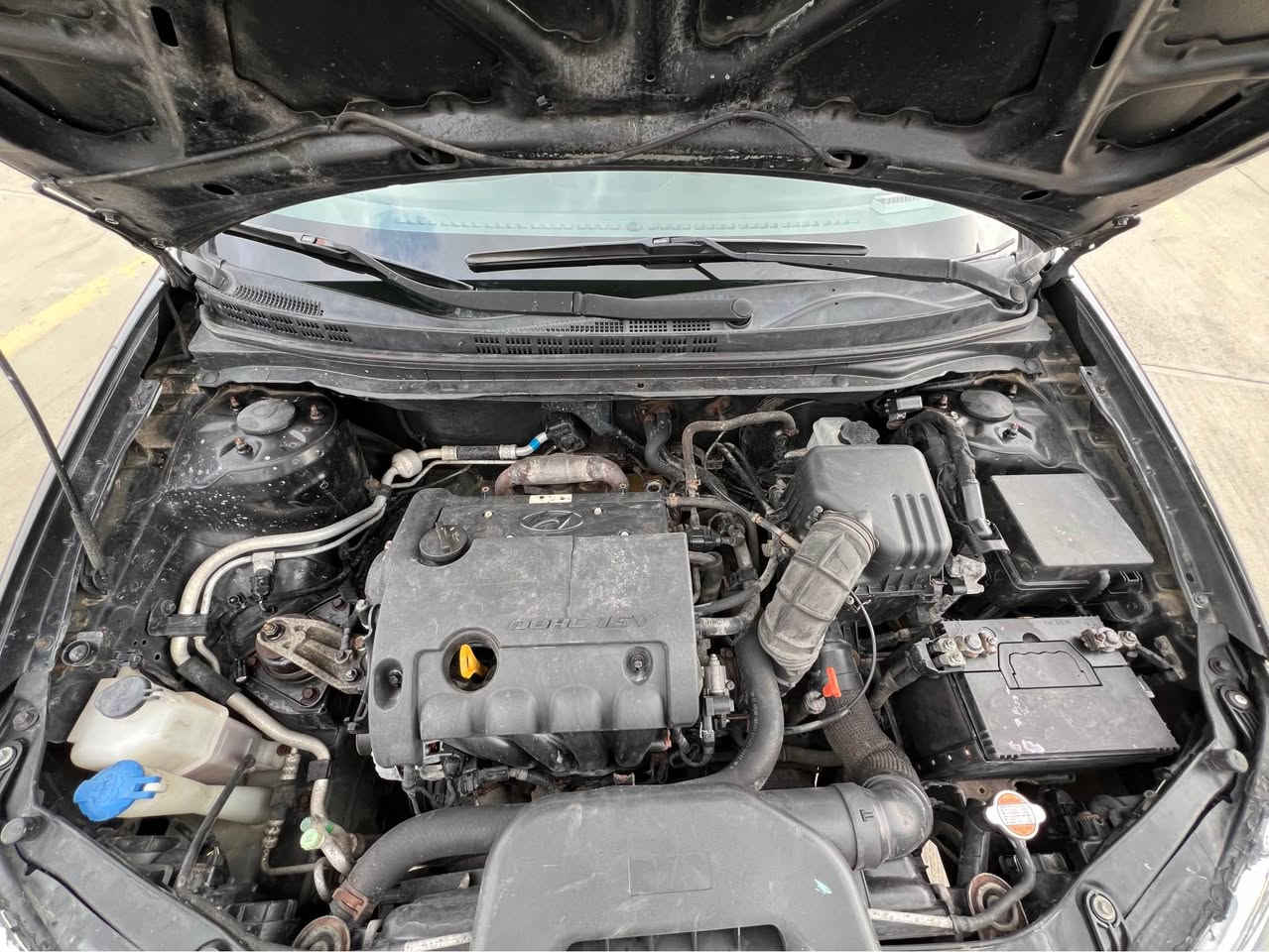 ئاڤانتی بۆ فرۆشتن
2009 سڵاید و جلد و هیتەر و ئاوێنە شەفت + تەبرید لەمس
150000KM هەقیقی ڕۆیشتووە
کامل مەسرەف کراوە جامی هەڵگیراوە سۆندەی سڵایدی چاککراوە + رۆنی مەکینە و هایدرۆلیکی گێری تازە گۆراوە رۆنی ئیستۆپی تازە گۆڕاوە + چرکە لە پێش دوای نییە تەبرید و گەرمی بەشەرت بریکی بەستراوە + گێڕ و مەکینە و لێدراوی بەشەرت
سەقفی چالی و ڕووشاوی نییە بۆیاخ نییە بەس جەلاتینی هەڵیداوە 
نرخی ٤٩ کەمیک معامەلەی تێدایە شوێن سلیمانی
***********
*********** السليمانية, العراق
