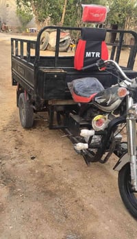ستوته مديل ١٤ اصولي شرط. ‎0783 873 6013