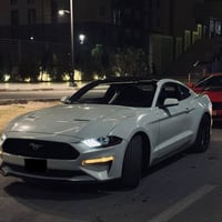 للبيع او للمراوس مع تسلا مودل 3  مـوستنك ايكوبوست 2019  استيـراد 2021 ...