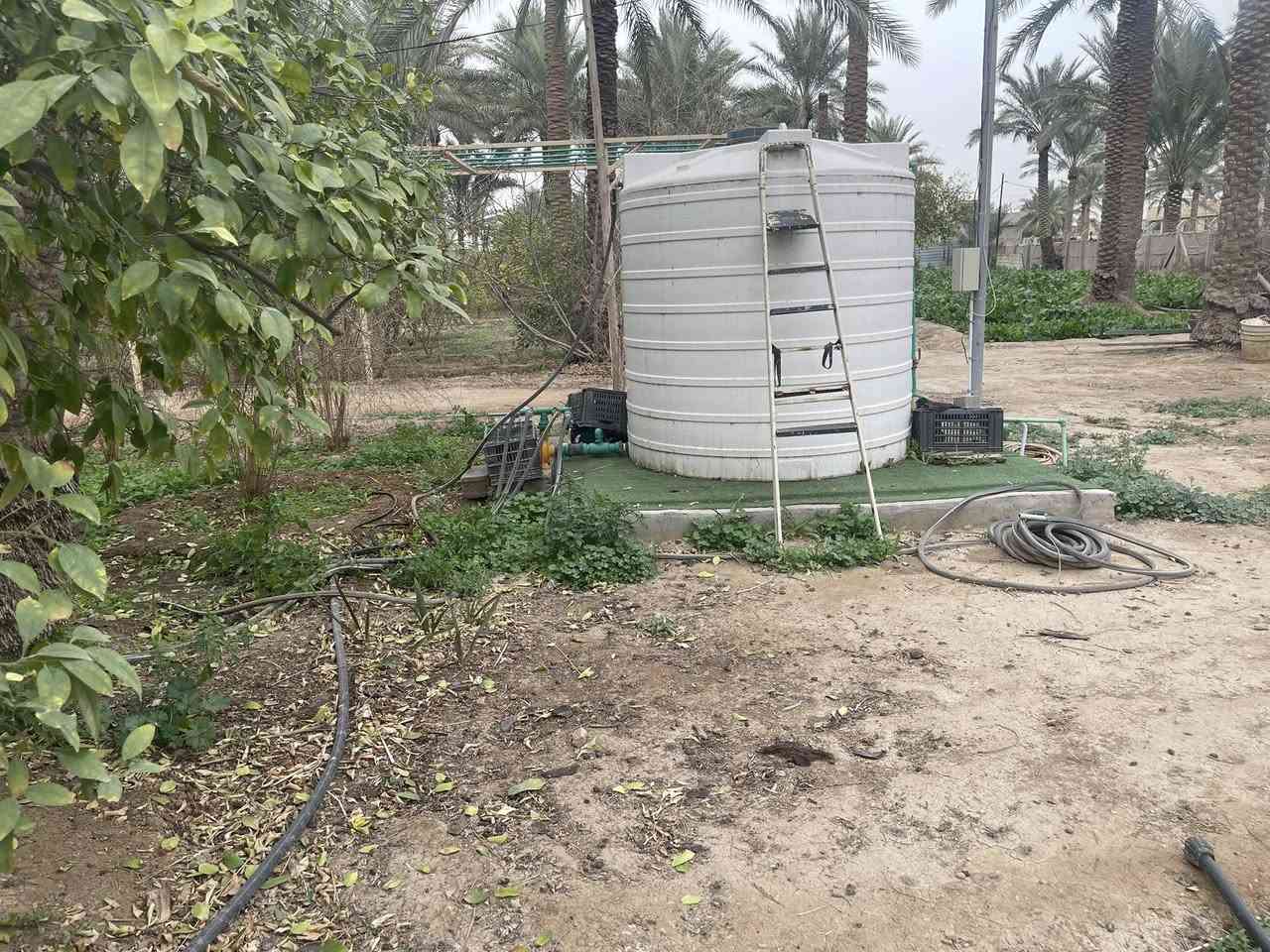 عندي بستان مساحته 5 دونم عارضها للبيعمرتبيها ترتيب مال منتجع  مرتبيها ترتيب مال منتجع  . اكثر من 220 نخلة بكافة أنواع النخيل من البرحي و الزهدي و الخستاوي و الحمراوي و السلطاني و حمرة جبل و بلگة و مكتوم و مطوگ كربلاء و غيرها من أنواع النخيل 
.اكثر من 500 شجرة ( برتقال كربلاء الشهير ، ليمون كربلاء ، نارنج ، لالنگي ، رمان يمني ، عرموط ، النبگ ، خرمالو ، تين ، عنب ) و غيرها 
. حوض صالح لتربية الأسماك ( حجمه تقريبا 40 الف متر مكعب ) 
. أقفاص صالحة لتربية كافة أنواع الحيوانات كالدجاج و البط و الغزلان و النعام و المواشي
. منظومة تقطير لسقي جميع الاشجار
. ثلاث أضلاع من اصل اربعة أضلاع من الارض مزروعة بأشجار التين الابيض 
. دار استراحة مساحته 115 متر تقريبا يحتوي على مطبخ و صالة و مضيف و غرفة نوم و مجموعة صحية داخلية و خارجية
. الارض بيها مدخلين :
1- مدخل يقع على شارع رئيسي تبليط يبعد مسافة عنه تقريبا 60 - 70 متر و عرض الشارع تقريبا 8 متر
2- المدخل الثاني طريق خاص فقط بالأرض عرض الشارع تقريبا 6 متر و بنهايته عند مدخل الارض كراج  جبير يتسع لثلاث سيارات كبيرة كـ لاندكروز او //طابوسند25//بنات مستقبل العنوان كربلاء شارع الرابط***********
