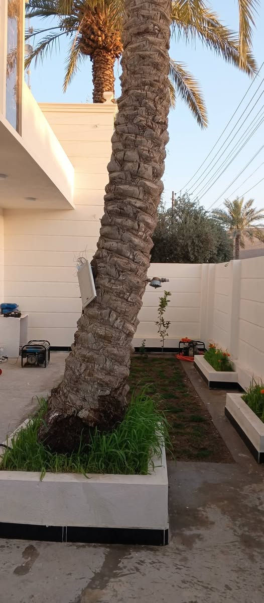 للبيع دار 240 متر طابو صرف واجه 13 2 غرف نوم بناء قديم ومرمم بشكل ممتاز مثل ماموضح بالصور تحويل مباشر استقبال 7وربع في 4وربع حديقه مع كراج بناء كله طابوق ماء مجاري كهرباء كله جديد البيت متعوب عليه العنوان العسكري القديم قريب ملعب احمد راضي ومسافه عن الجوازات تتمشه برجلك للجوازات والسوك السعر 175 تشوفه ميفيدك اعبر المنشور وجزاك الله خير للاستفسار مراسلة الصفحه او الاتصال *********** واتساب
