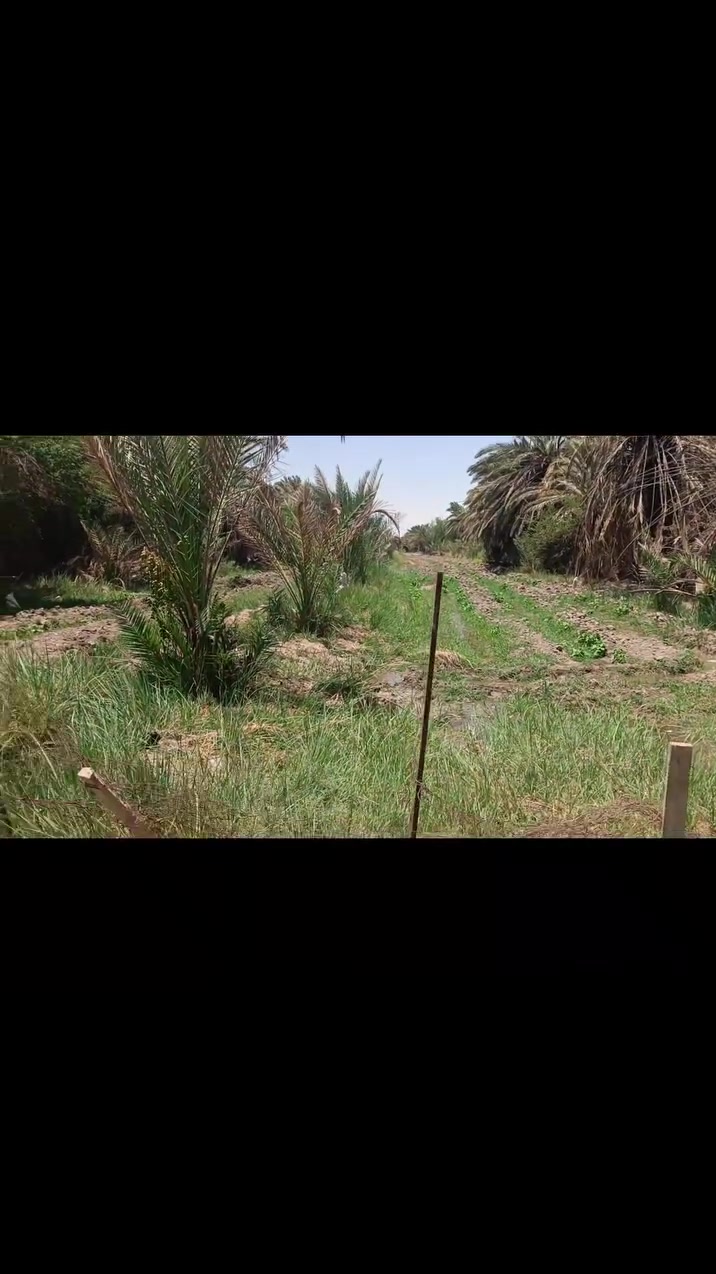 للبيع موجود دونم وربع مسيج على الشط/ وموجود دونمين بستان  تفاصيل خاص منطقة الامام المهدي بعد الجسرين


**إذا كنت صاحب هذا الإعلان وتريد حذفه لأي سبب، رجاءا أرسل رسالة إلى الدعم الفني**