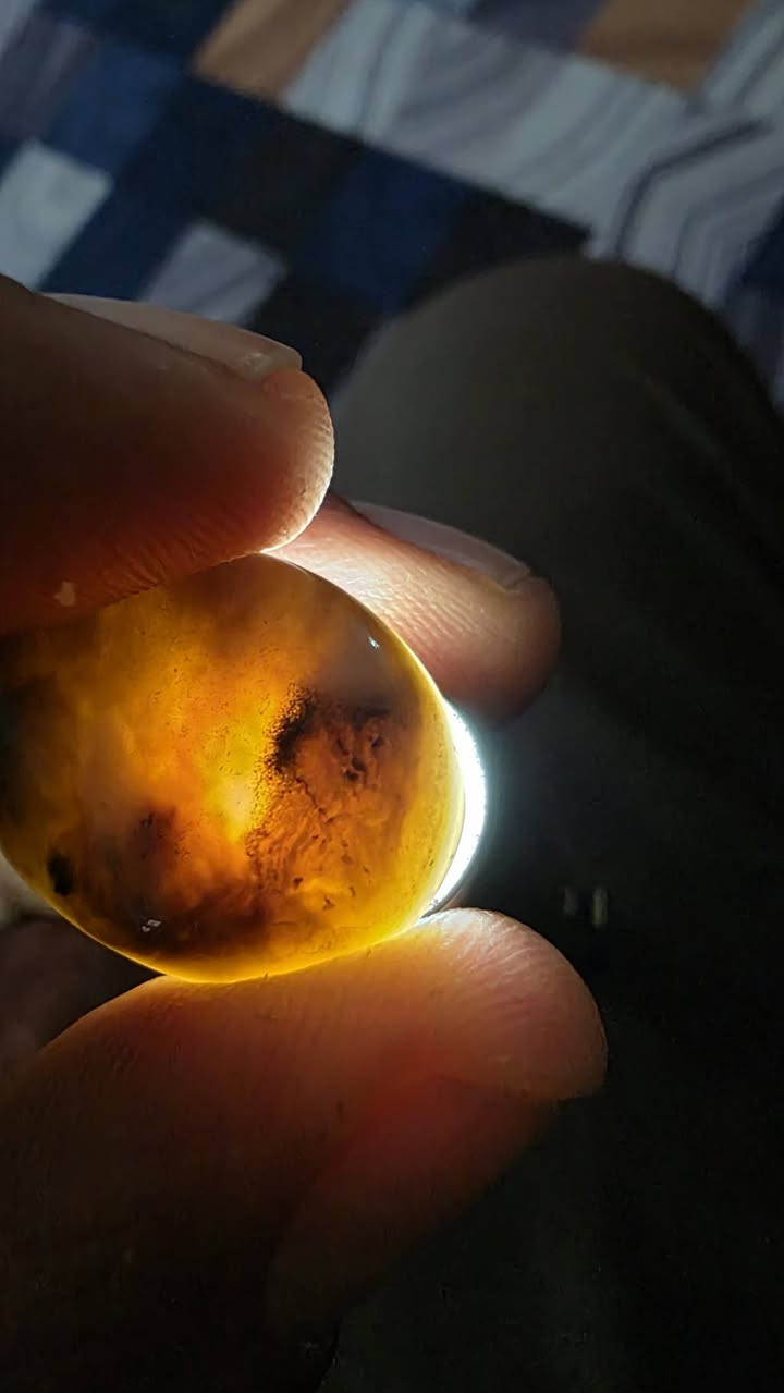 حجره سليمانيه مصوره ذيب واضحه جدن للبيع مكاني بغداد مدينه الصدر توصيل لا يوجد


**إذا كنت صاحب هذا الإعلان وتريد حذفه لأي سبب، رجاءا أرسل رسالة إلى الدعم الفني**