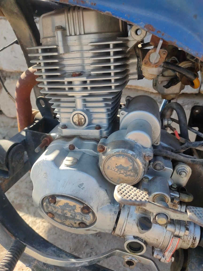 ستوته للبيع اوراق كربلايه مكان نجف  ناحية الرضويه 
اسعر (950)***********
