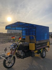 ستوته موديل 21 • فول • اوراق كامل