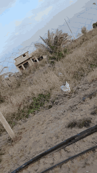 2000 متر طابوا اسهم تحويل باسم المشتري للبيع الزيناويه طريق السياحي ال...