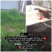 تجهيز حديقة • شتلات • معالجة تربة
