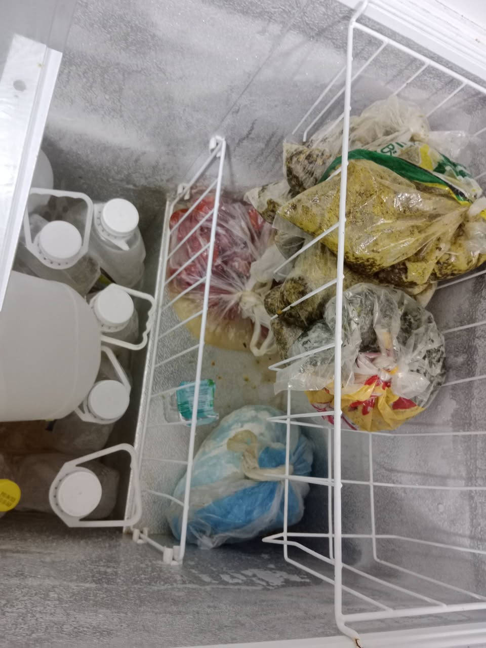 مجمدة للبيع نظيفه تجميدها فوول ماداخلة تصليح نوعيه راقية طولها متر وربع مكاني الخصيمة مكلفة بلنشر السعر 300 وبيها مجال عربانه تسوق جديدة السعر 15 وحافظه ثلج تنفع بالمناسبات سعرها 10 لااستفسار اكثر  الإتصال بلرقم ***********
