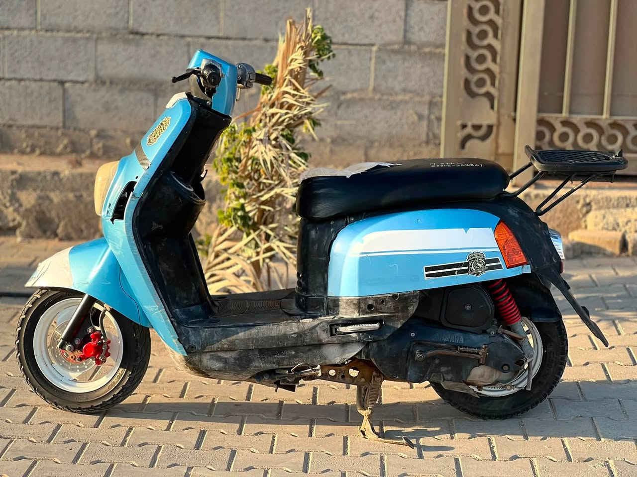 دراجه ماكس بوليس ما مفتوحه السعر 525بيه مجال قليل                                                                 القرنه الثغر ***********
