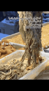 عقيل ابو حلويات جملة +مفرد 
مستعدون تجهيز كافت المناسبات 
وسعار شرط جوة سوك 
‏‪***********‬‏ عقيل ابو كوثر
