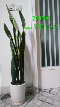 توصيل اربيل