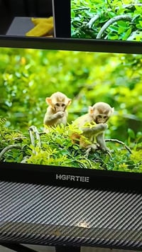 حجم ١٤ • دقه مفوله