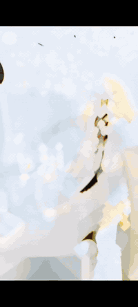 🧿 اللهم صل على محمد وال محمد 🧿
https://instagram.com/alaraby21_?igshid=NTc4MTIwNjQ2YQ==
الجمااااال والنزاكة😍👇
#كوشات_#العربي 🎀🎊
خلي مناسبتك حلوه ومميزه ويانه❤️😍
 بكادر نسائي👯متخصص⁦👩‍🌾⁩🧚
فقط 🗣مع #مصور_العربي نصب👈🏻 #كوشات 🎊الاعراس 💍والمناسبات 🎉باحدث التصاميم💢 والديكورات 🌀وحسب الطلب💒
#تصوير_تزيين_هدايا🎁
يوجد توصيل لكافة مناطق واسط والاقضية والنواحي🚕
مشاركتكم الفرحة سر سعادتنا🎻
#العنوان📭
الفرع الأول. واسط-النعمانية-شارع المستشفى العام🏥
مجاور ومجمع الميقات
الفرع الثاني. شارع 13 بالقرب من كوزمتك الخلخال مجاور صالون لمسات سنتر العربي للعرائس 
#الكوشه_متوفره للحجز والاستفسار مراسلة الصفحه💌

او الاتصال ع الارقام التاليه
مهيمن ***********. مهيمن***********. 
ام فاطمه ***********.
