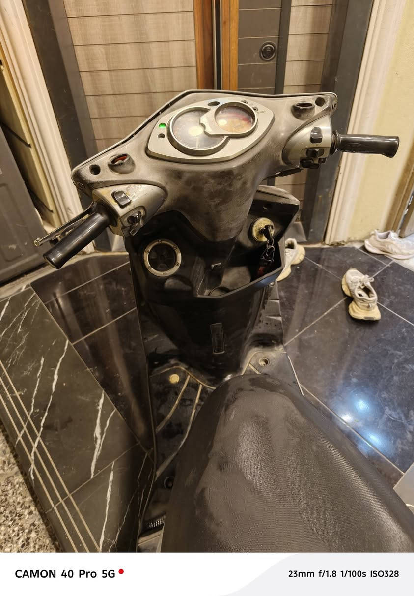 سلام عليكم سكنس فحل كفرات ابلاديه درجه نگره خير من الله تشغيله صبح فول شلعه ومعدل سعر٦٠٠ مكاني مدينه الصدر ***********
