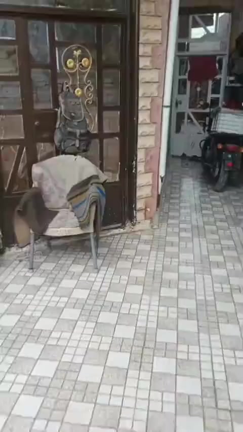 ♦️السعر ٥٨ مليون♦️
على بركة الله...إعلان رقم(١٥٩٧).
#دار_للبيع
المساحة= ١٠٠متر(٥×٢٠).
جنس العقار/ طابو زراعي سند(٢٥).
الطابق الاول/ غرفة نوم+صالة+استقبال+مطبخ+صحيات.
الطابق الثاني/ غرفتين نوم+صالة+صحيات.
الموقع// بعقوبة/بهرز/حي السلام/ قرب مولد حيدر.
للأستفسار الاتصال على الرقم
***********
