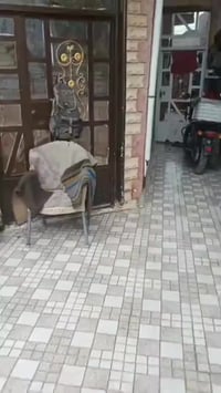 بعقوبة بهرز • ١٠٠م • طابو زراعي