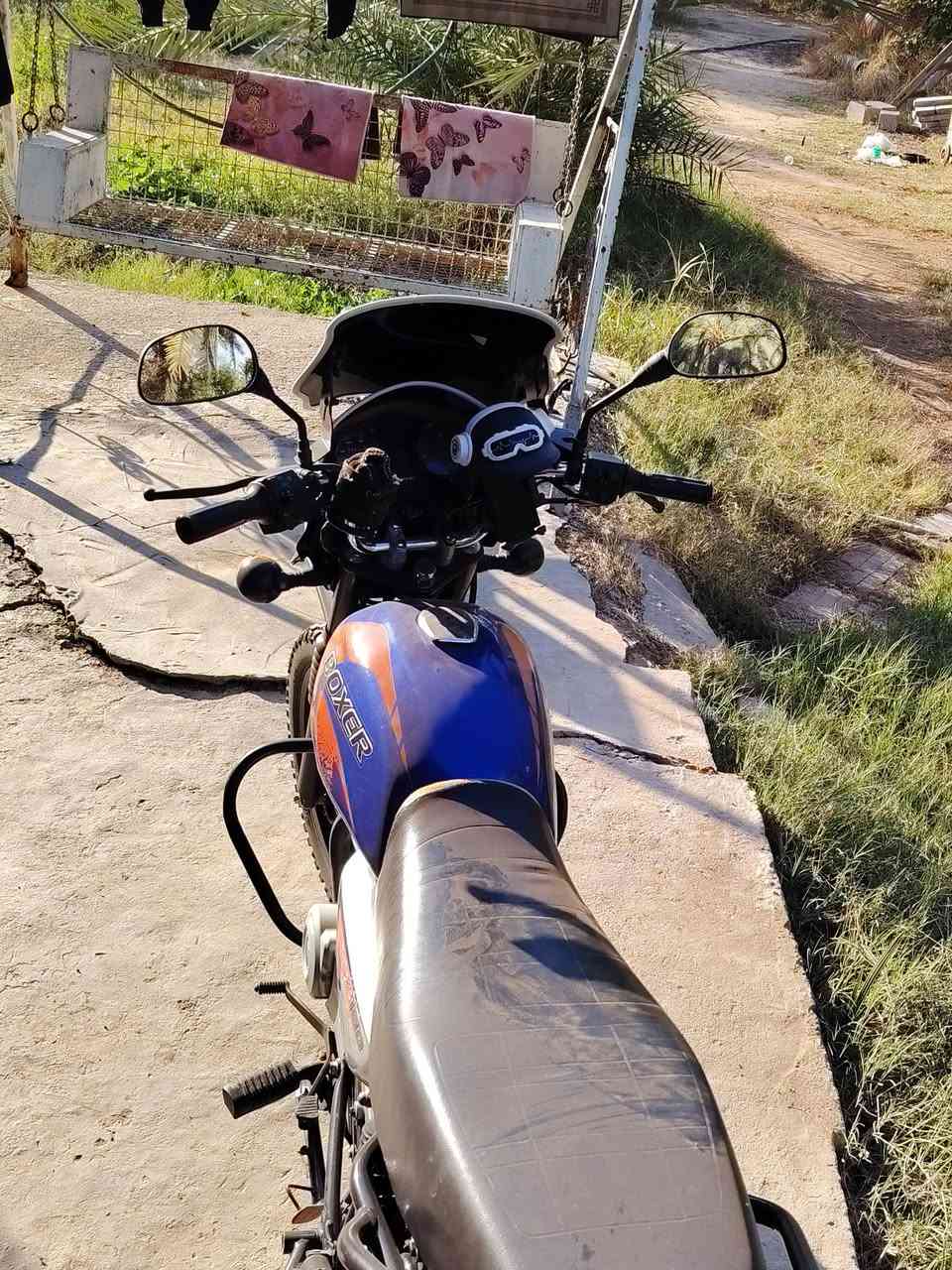 السلام عليكم بوكسر موديل ٢٢
رقم وسنوية تحويل ثاني يوم كهربائيات كله شغالة ( للعلم الدراجة ما مشتغلة دلفري) الدراجة مال بيت سعر 2150 قفل الدراجة جديدة ب معنى كلمة مكان بغداد الزعفرانية.
الرقم  ***********
