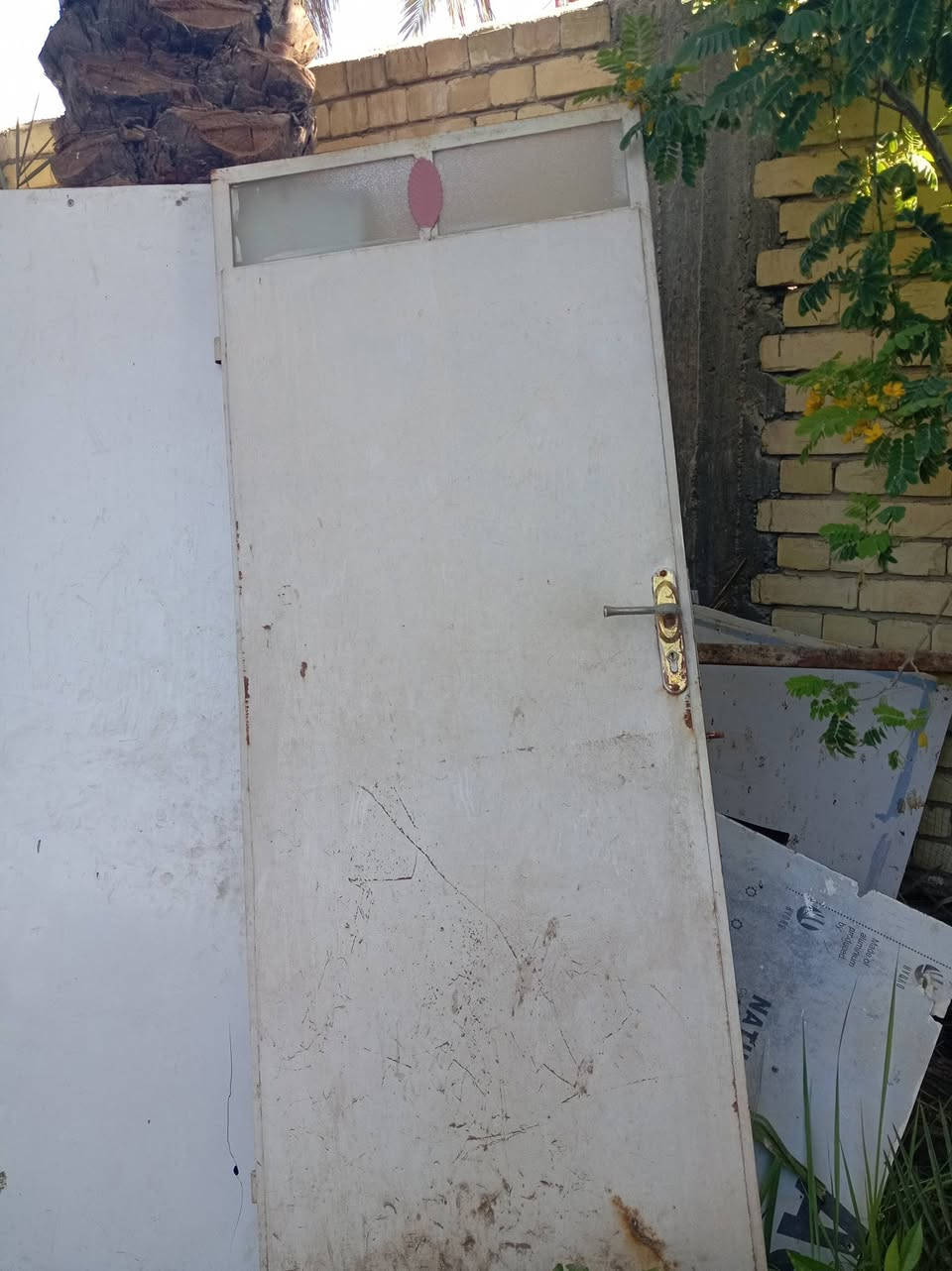 مكلف بل نشر سلام عليكم، من رخصت الادمن المحترم اخواني بااب حديد اثنين بدون جرجوبه اثنينيهن سعراهن جدان مناسبة طباخ مطاعم نظيف جبير شغل درجة أولى هذا رقم راعيهن *********** مهدي راعيهن تحياتي لكم جميعن
