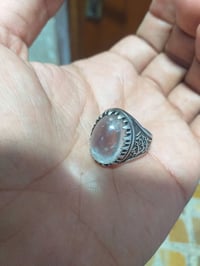 در نجف • اصلي • البصرة المعقل