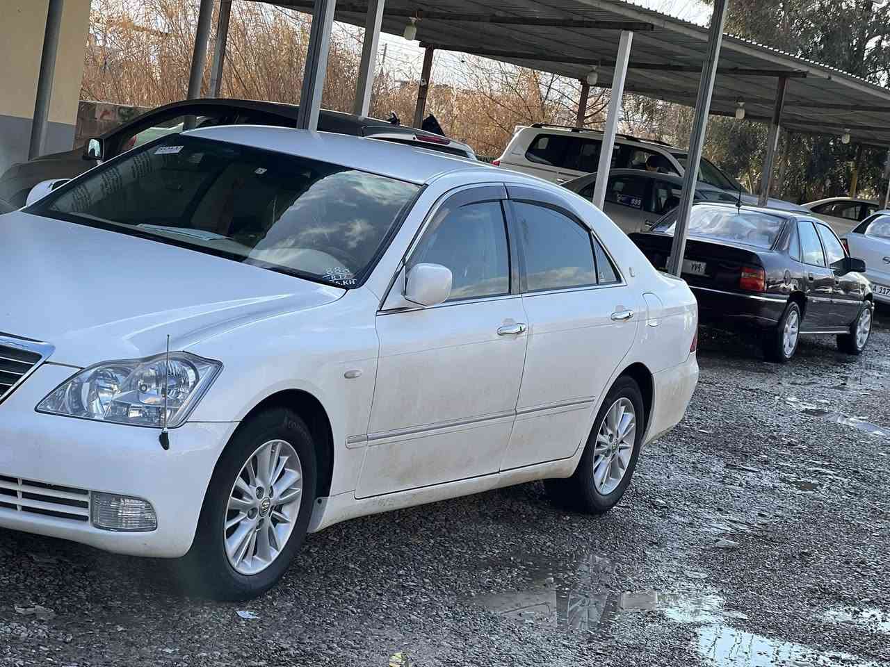 شاهينة مووس ٢٠٠٦
مةكينة كةورة١٨٢ بيدوكةل
بي بوياخ رةسمي سونةرم داناوة
سوكان حةيزةران 
كاميرة وشاشة 
ئاريل
بةسمةرةساسي
كامل مةسروف بيجالو شخوت سةيارةكة رةقةم يةكة سيعري ٦٧ مةجال لةشارةزوورم ***********
