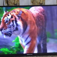 جنرال • ٤٣ انش • يرادله تحديث