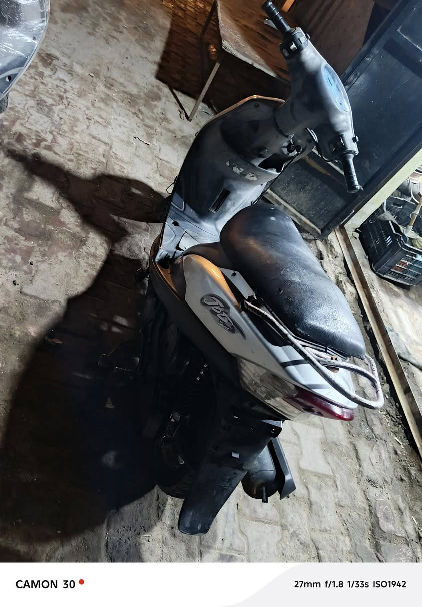 للبيع 🪶
سلام عليكم منغولي للبيع بلادية شلعه ومعدل فول سعر 600 لشراي يراسلني أو يتصل    ***********
