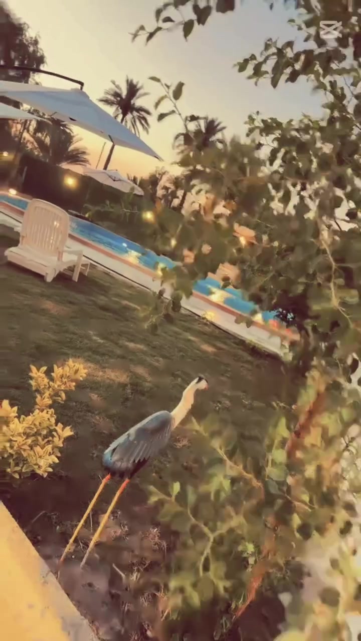 سلام عليكم مزرعه الايجار اليومي  المساحه 2دونم  الاستفسار ***********

