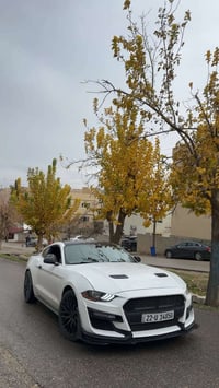 موستنك ايكو بوست • ٢٠٢٣ • حادث نص بنيد