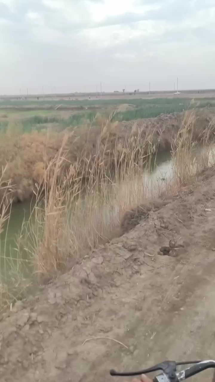 سلام عليكم كاع خمس دوانم يم اليشان مقابيل شارع المشايه  يم المدارس جوه غاد من جامع شبيب يطلع عله طريق ال زاجي وره بيت شالال يقارب كيلوين عنه  هذه رقم ولستفسار *********** سعر خاص
