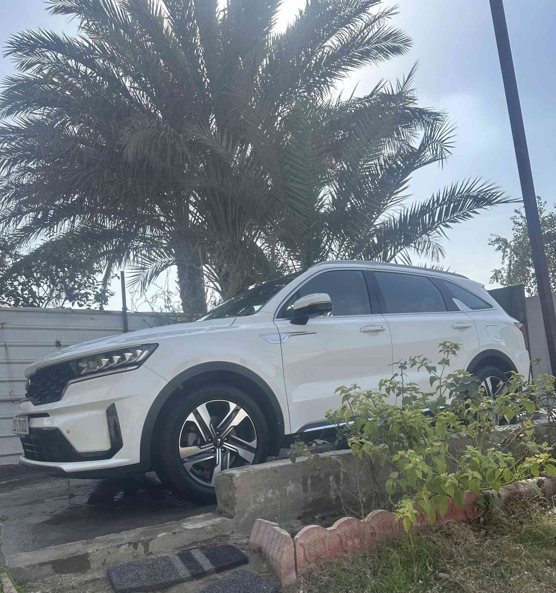 إسلام عليكم 
سورنتو 2021
اعلى فئة
تشغيل عن بعد 
نظام AWD
محرك V6
كير ماوس
ماشيه 49 
سياره مال بيت
رقم أنكليزي
مكان بغداد
السعر 285
الرقم ***********
سونار موجود
