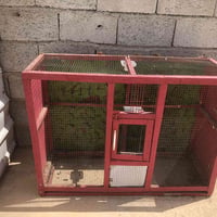 قفص بلابل • طيور زينة