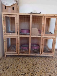 خانة أم أربعة • حاضنات ٤ • بالفلاحيه