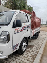 كيا • فحل مفتوح • ٢٠٢٠