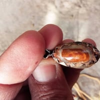 خرزة داودي • قديم • للبيع