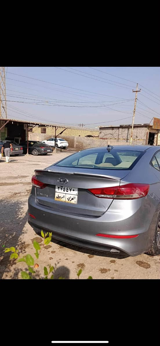 تفاصيل كامله بالصور ديوانية, القادسية
