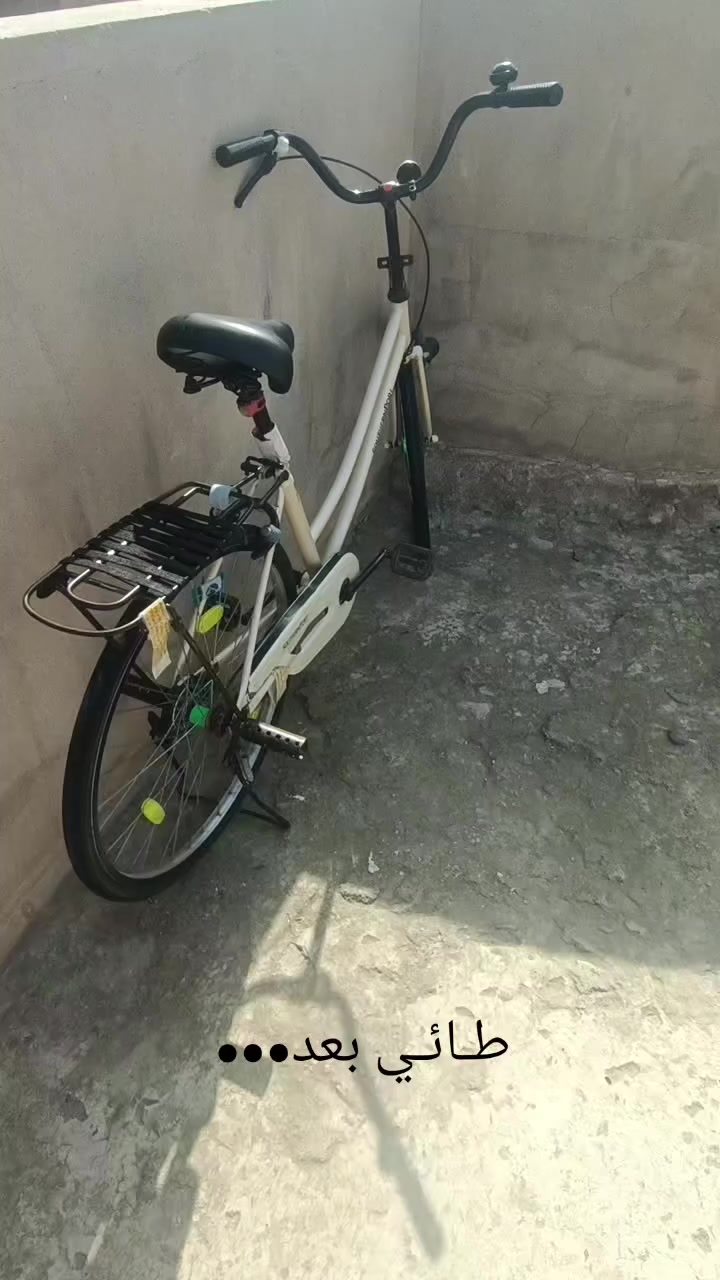 باسكل للبيع او مراوس السعر 85 وبي مجال بدون غراض


**إذا كنت صاحب هذا الإعلان وتريد حذفه لأي سبب، رجاءا أرسل رسالة إلى الدعم الفني**