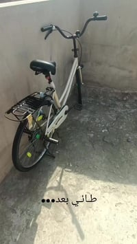 باسكل/مراوس • بدون غراض • بيه مجال