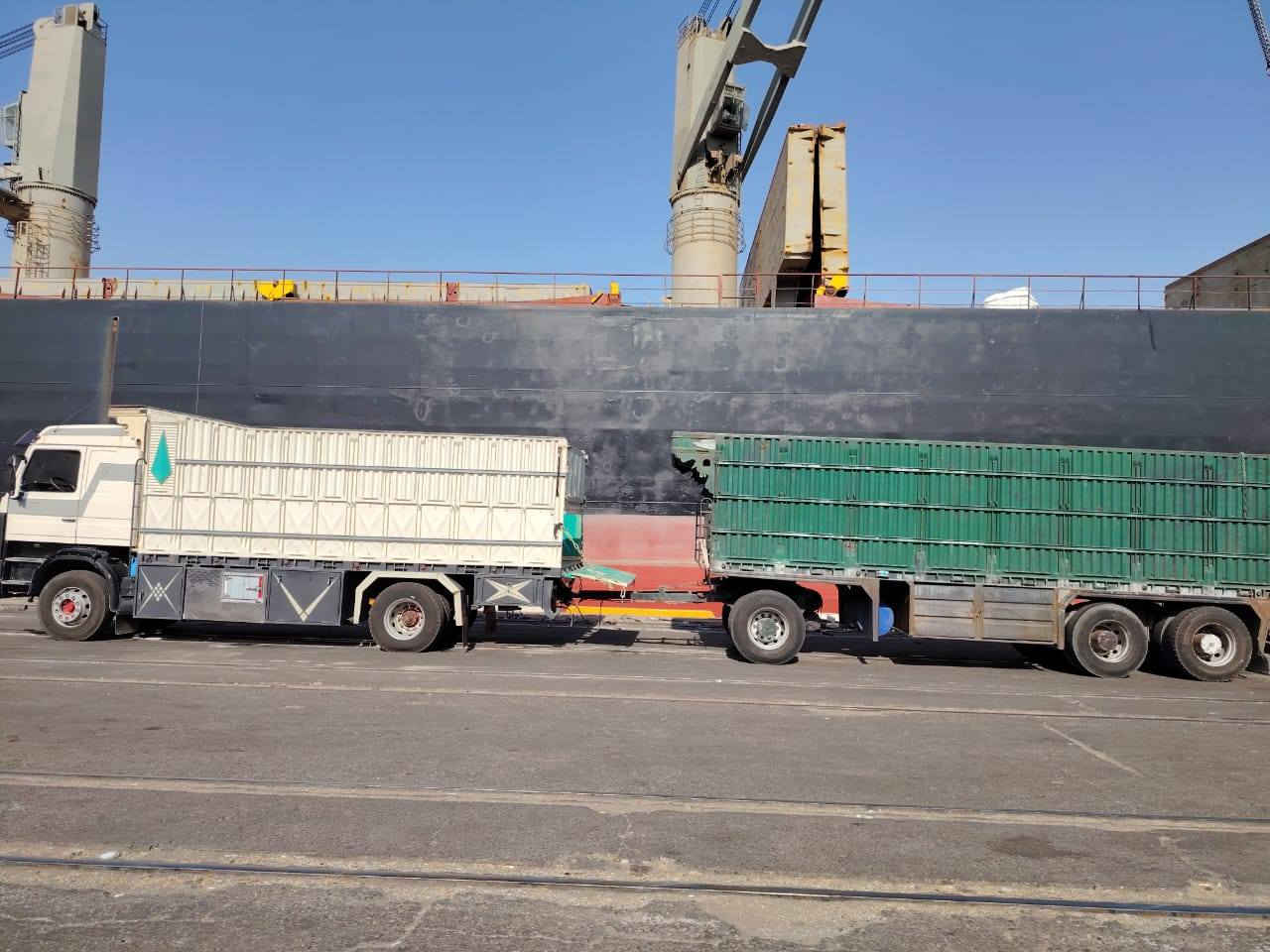 السلام عليكم
عربانه للبيع ٨ أمتار
والبدي للبيع
***********
***********
