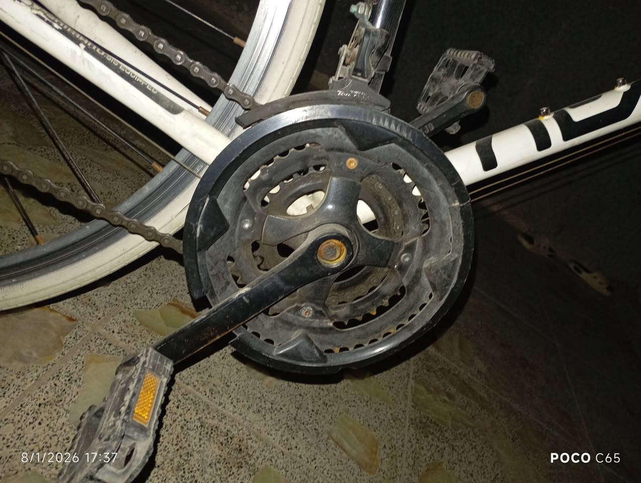 بايسكل باله حاويه للبيع السعر 130 وبي مجال مع هديه قفل و جرس و مسطره العنوان بغداد الاستفسار الاتصال على رقم واتساب ***********:
