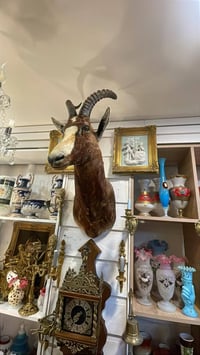 تحف كندية • قديم • سليمانيه